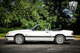 Mustang 3