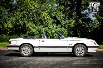 Mustang 7
