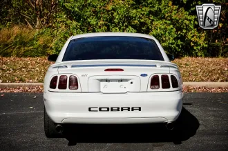 Mustang 5