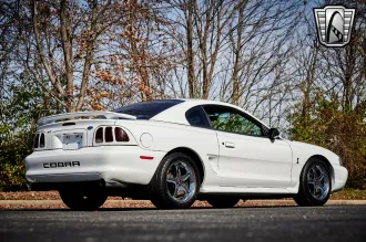 Mustang 6