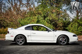 Mustang 7