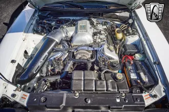 Mustang 19