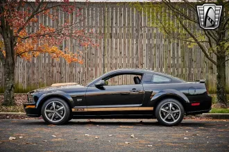 Mustang 3