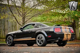 Mustang 4