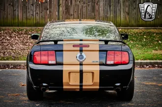 Mustang 5