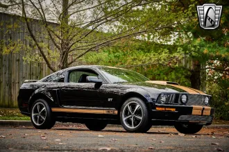 Mustang 8