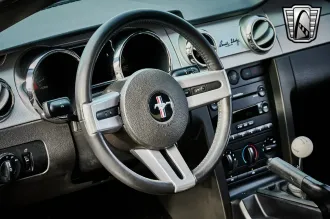 Mustang 11