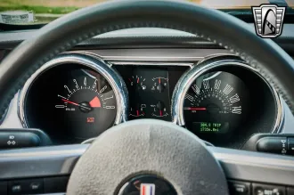 Mustang 12