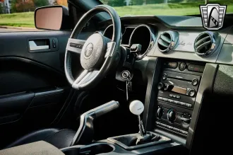 Mustang 17