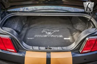 Mustang 19