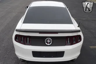 Mustang 5