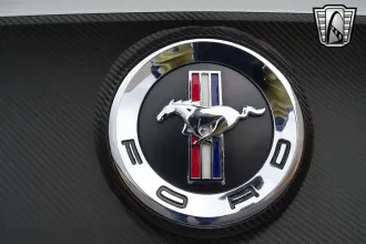 Mustang 10