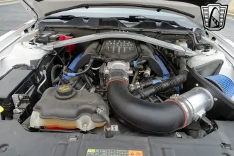 Mustang 20