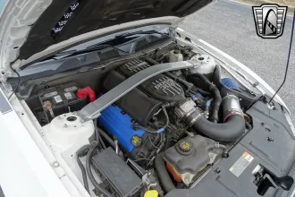 Mustang 21