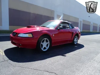 Mustang 3