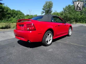 Mustang 7