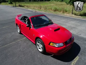 Mustang 9
