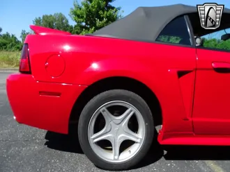 Mustang 12