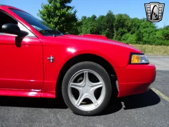 Mustang 13