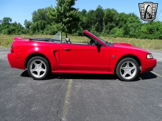Mustang 17