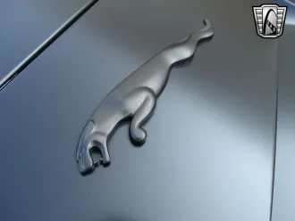 F-TYPE 19