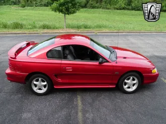 Mustang 6