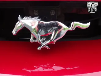 Mustang 13