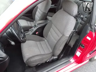 Mustang 19