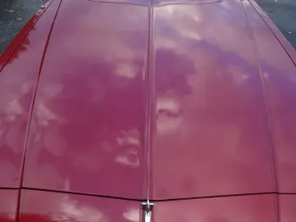 Monte Carlo 10