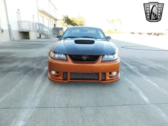 Mustang 2