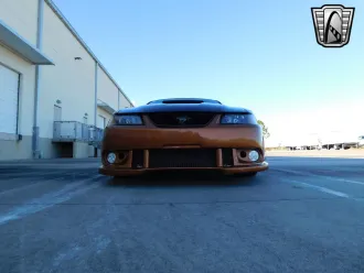 Mustang 6