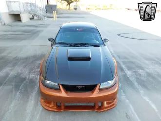 Mustang 7
