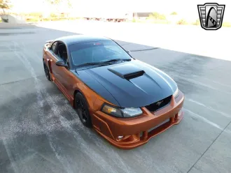 Mustang 8