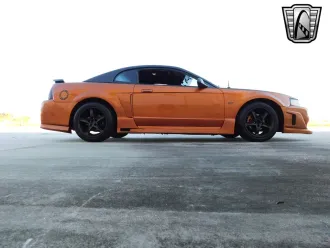 Mustang 11