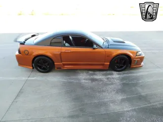 Mustang 12