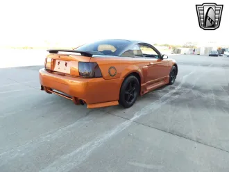 Mustang 14