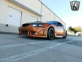 Mustang 24