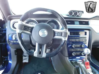 Mustang 12