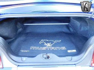 Mustang 20