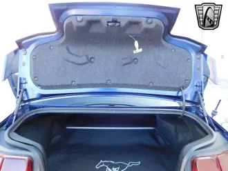 Mustang 21