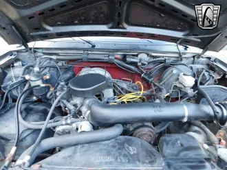 Bronco 24