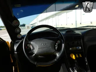 Mustang 17