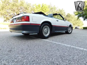 Mustang 5