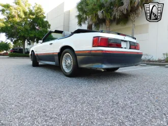 Mustang 6