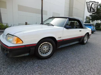 Mustang 23