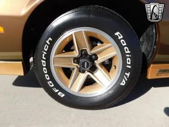 Camaro 10