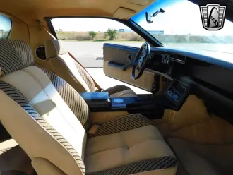 Camaro 15