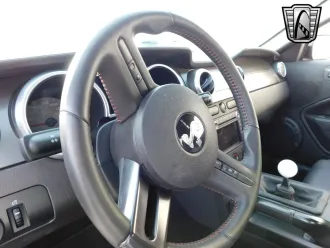 Mustang 15