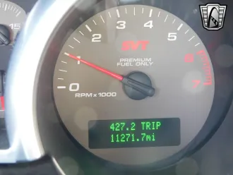 Mustang 16