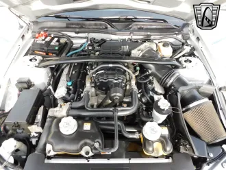 Mustang 22
